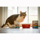 Cat Wet pet food Ice Sea Terrine (Eismeer Terrine) 400g 6 Piece -3- Anifit